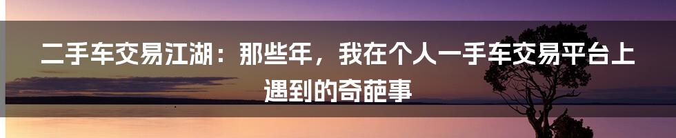 二手车交易江湖:那些年,我在个人一手车交易平台上遇到的奇葩事