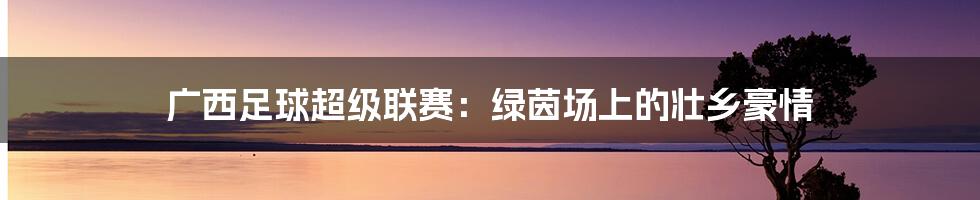 广西足球超级联赛:绿茵场上的壮乡豪情
