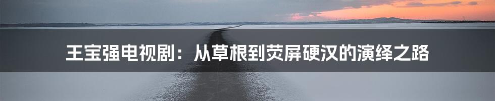 王宝强电视剧：从草根到荧屏硬汉的演绎之路