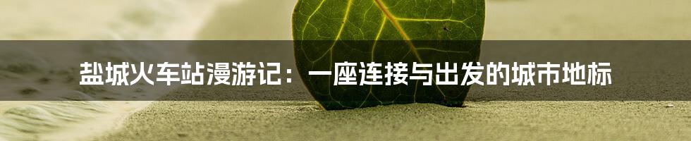 盐城火车站漫游记:一座连接与出发的城市地标