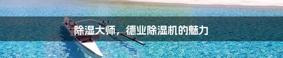 除湿大师,德业除湿机的魅力