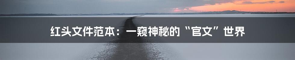 红头文件范本:一窥神秘的“官文”世界
