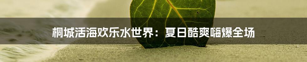 桐城活海欢乐水世界:夏日酷爽嗨爆全场