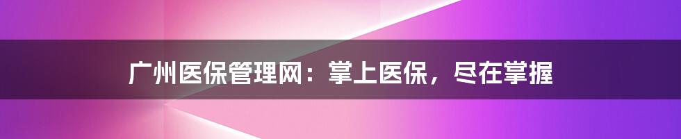 广州医保管理网：掌上医保，尽在掌握