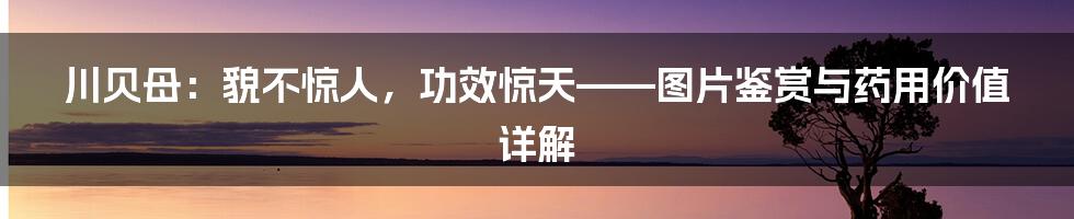 川贝母:貌不惊人,功效惊天——图片鉴赏与药用价值详解
