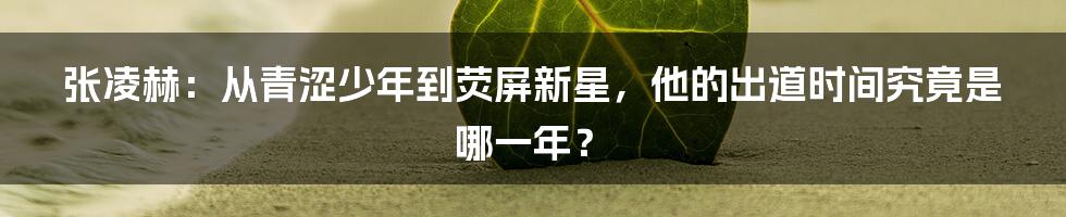 张凌赫:从青涩少年到荧屏新星,他的出道时间究竟是哪一年?