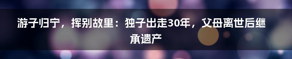 游子归宁，挥别故里：独子出走30年，父母离世后继承遗产