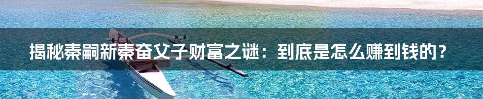 揭秘秦嗣新秦奋父子财富之谜：到底是怎么赚到钱的？
