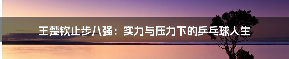 王楚钦止步八强:实力与压力下的乒乓球人生