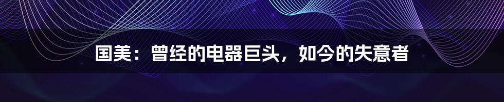 国美:曾经的电器巨头,如今的失意者