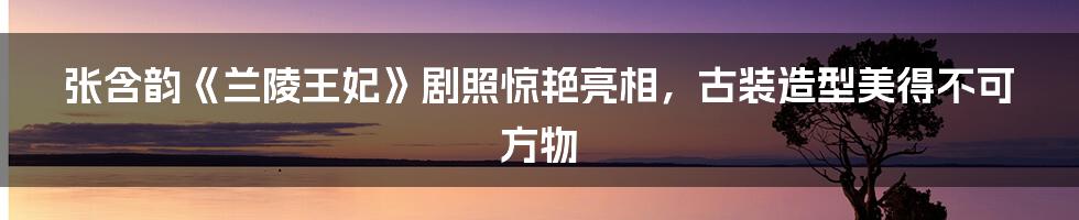 张含韵《兰陵王妃》剧照惊艳亮相，古装造型美得不可方物