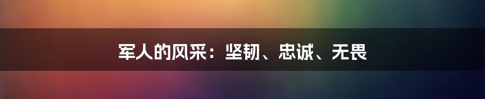 军人的风采:坚韧、忠诚、无畏