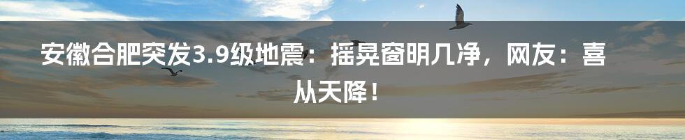 安徽合肥突发3.9级地震:摇晃窗明几净,网友:喜从天降!