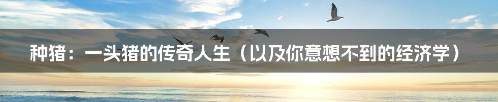 种猪:一头猪的传奇人生(以及你意想不到的经济学)