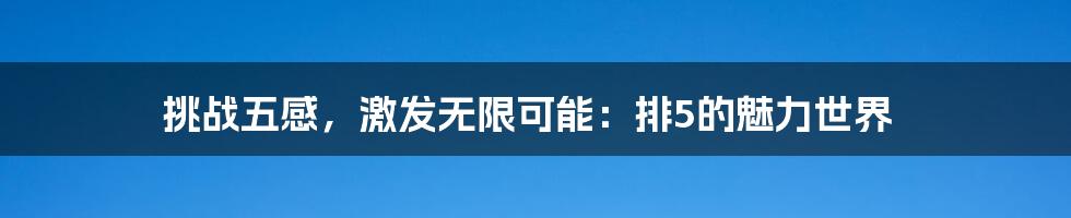挑战五感，激发无限可能：排5的魅力世界