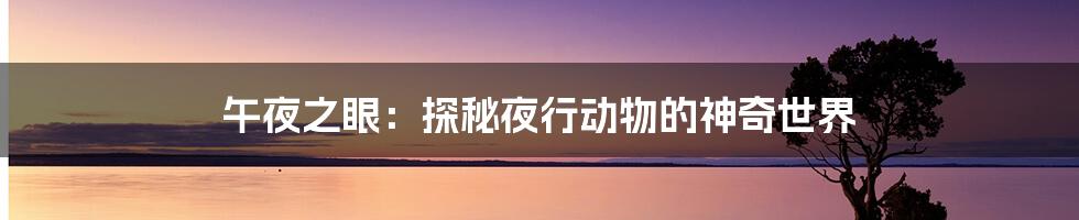 午夜之眼：探秘夜行动物的神奇世界