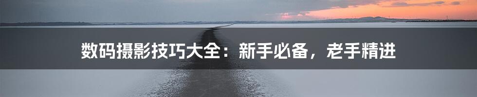 数码摄影技巧大全:新手必备,老手精进