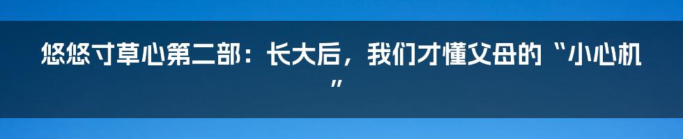 悠悠寸草心第二部:长大后,我们才懂父母的“小心机”