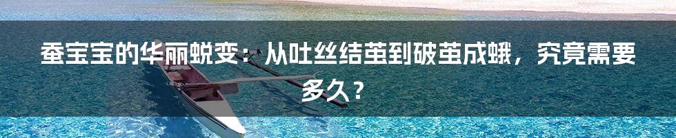 蚕宝宝的华丽蜕变:从吐丝结茧到破茧成蛾,究竟需要多久?