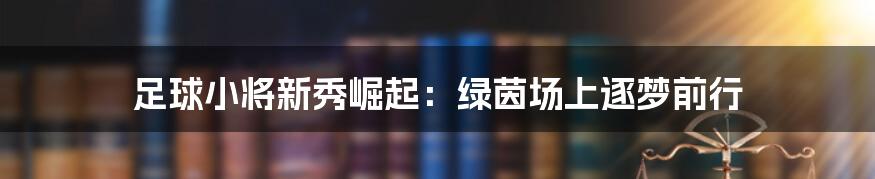 足球小将新秀崛起：绿茵场上逐梦前行