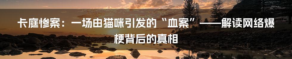 卡庭惨案：一场由猫咪引发的“血案”——解读网络爆梗背后的真相