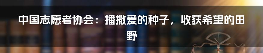 中国志愿者协会:播撒爱的种子,收获希望的田野