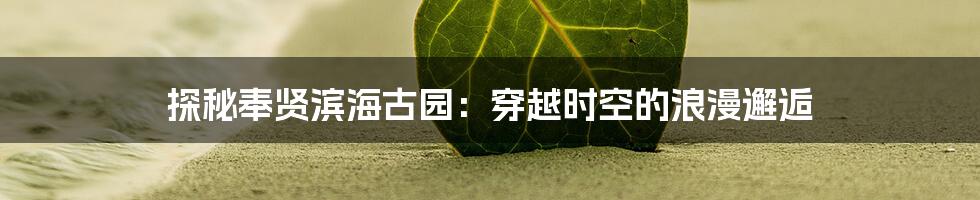 探秘奉贤滨海古园:穿越时空的浪漫邂逅