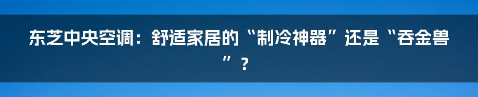 东芝中央空调:舒适家居的“制冷神器”还是“吞金兽”?