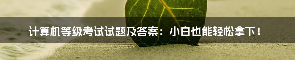 计算机等级考试试题及答案:小白也能轻松拿下!