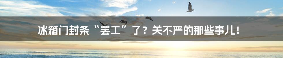 冰箱门封条“罢工”了?关不严的那些事儿!