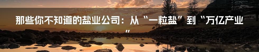 那些你不知道的盐业公司：从“一粒盐”到“万亿产业”