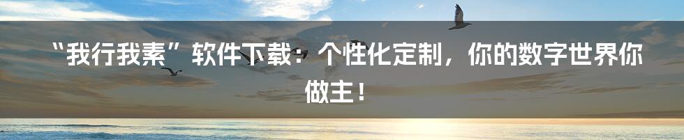 “我行我素”软件下载:个性化定制,你的数字世界你做主!