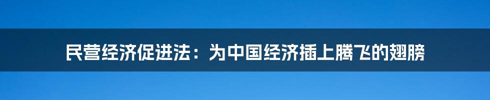 民营经济促进法:为中国经济插上腾飞的翅膀