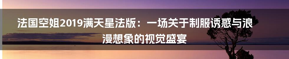 法国空姐2019满天星法版：一场关于制服诱惑与浪漫想象的视觉盛宴