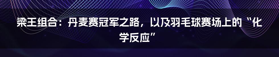 梁王组合:丹麦赛冠军之路,以及羽毛球赛场上的“化学反应”