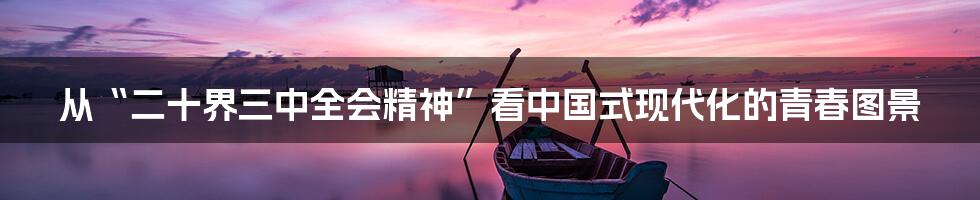 从“二十界三中全会精神”看中国式现代化的青春图景