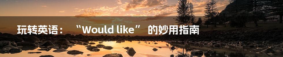 玩转英语: “Would like” 的妙用指南