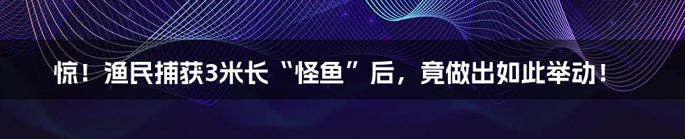 惊!渔民捕获3米长“怪鱼”后,竟做出如此举动!