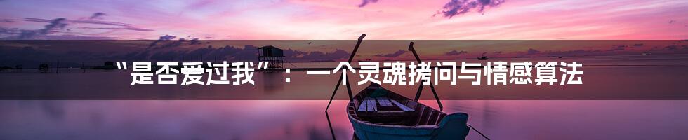 “是否爱过我”：一个灵魂拷问与情感算法