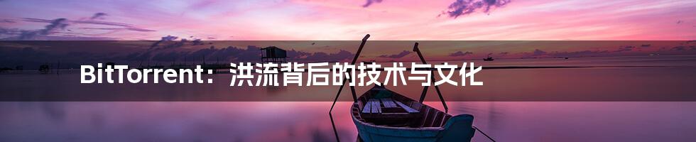 BitTorrent：洪流背后的技术与文化
