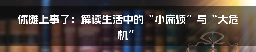 你摊上事了:解读生活中的“小麻烦”与“大危机”