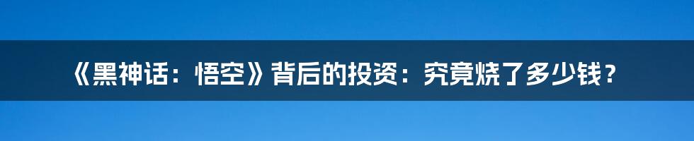 《黑神话：悟空》背后的投资：究竟烧了多少钱？