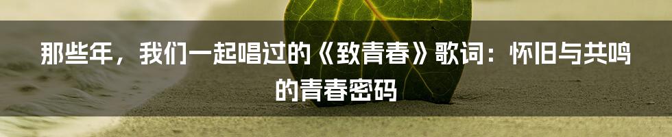 那些年，我们一起唱过的《致青春》歌词：怀旧与共鸣的青春密码