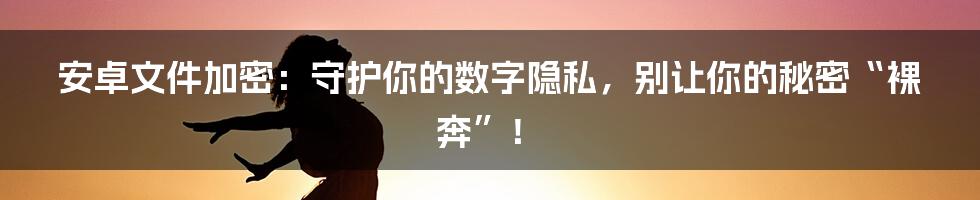 安卓文件加密:守护你的数字隐私,别让你的秘密“裸奔”!