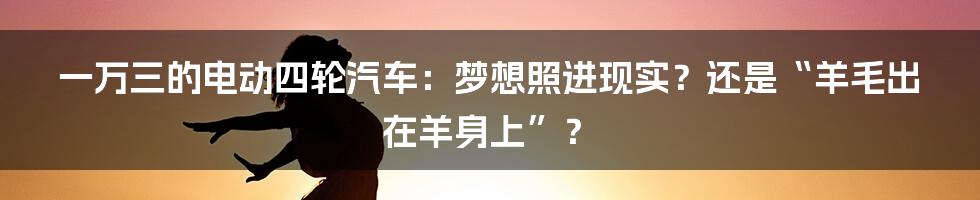 一万三的电动四轮汽车：梦想照进现实？还是“羊毛出在羊身上”？