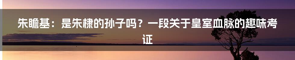 朱瞻基:是朱棣的孙子吗?一段关于皇室血脉的趣味考证