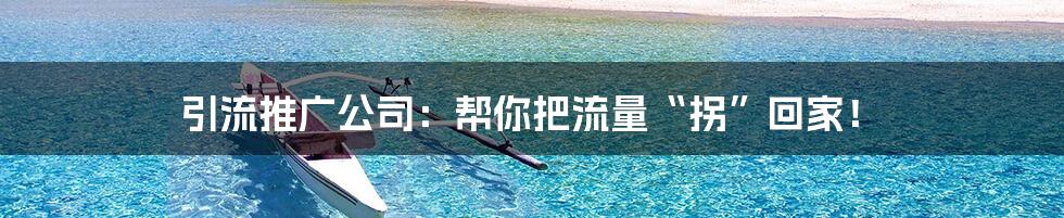 引流推广公司:帮你把流量“拐”回家!