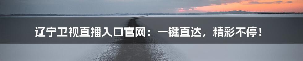 辽宁卫视直播入口官网：一键直达，精彩不停！