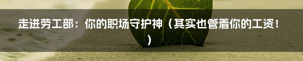 走进劳工部:你的职场守护神(其实也管着你的工资!)