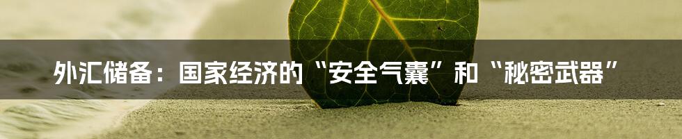 外汇储备：国家经济的“安全气囊”和“秘密武器”